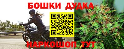 ГАЛЛЮЦИНОГЕННЫЕ ГРИБЫ Малгобек