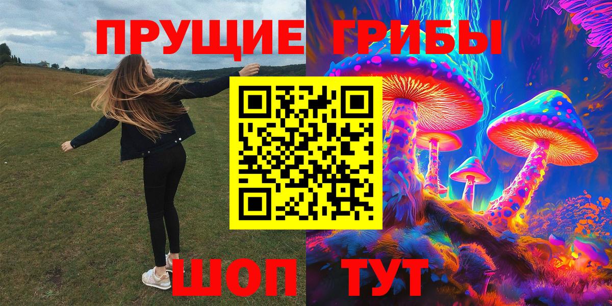 Галлюциногенные грибы прущие грибы Воронеж