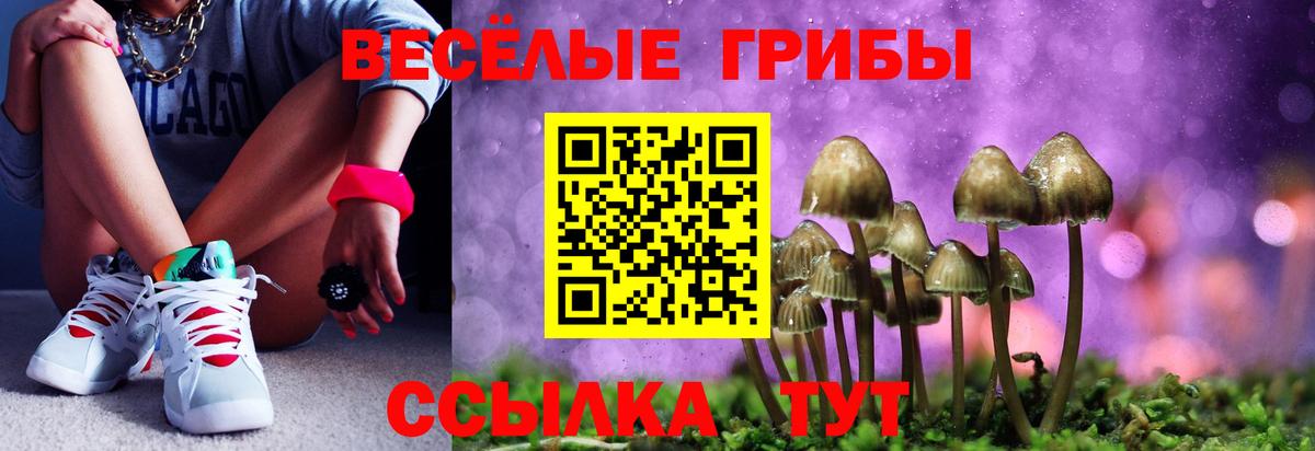 Псилоцибиновые грибы Psilocybine cubensis  Галлюциногенные грибы Magic Shrooms  Вход с VPN  купить  сайты  Воронеж 