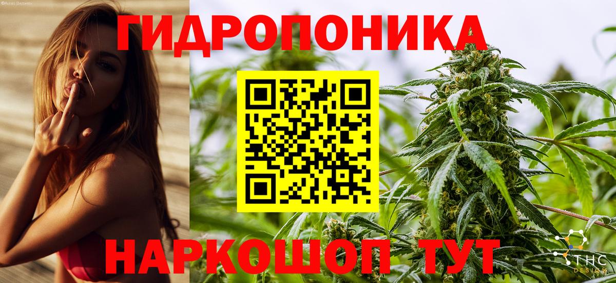 Каннабис тримм  Шишки марихуана ГИДРОПОН  Вход с VPN  Бошки Шишки Ganja  Воронеж 